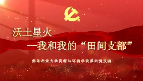 公司第六党支部在全省高校“我和我的支部”评选中荣获三等奖